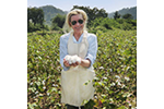Woman in a field holding freshly picked cotton